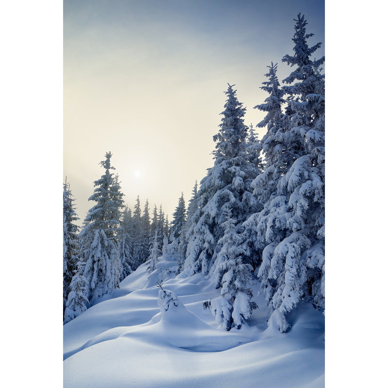 Cypress with Thick Snow Mural Modern Waterproofing Bedroom Wall Art, Made to Measure