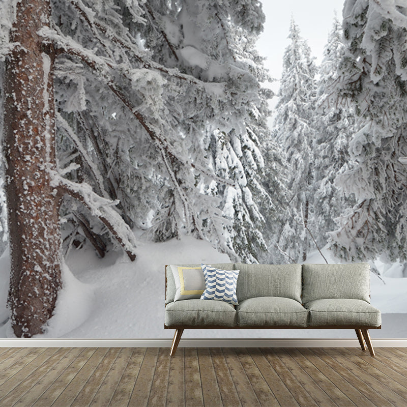 Cypress Forest after Snowfall Mural Grey Scandinavian Wall Covering for Accent Wall
