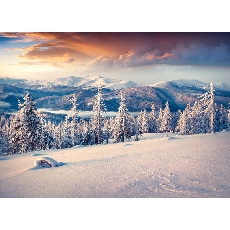 Big Modern Mural Decal White Aerial View of Cypress and Snow Mountain Wall Decor, Custom Printed