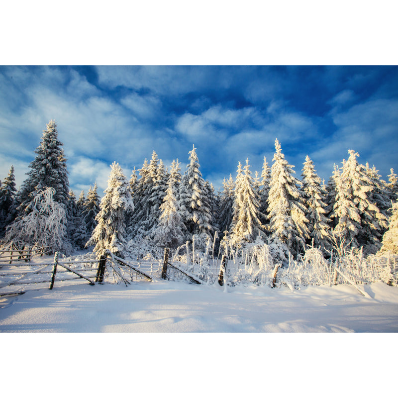 Modern Snow Cypress Mural Wallpaper Blue Cloudy Sky Wall Decoration for Corridor