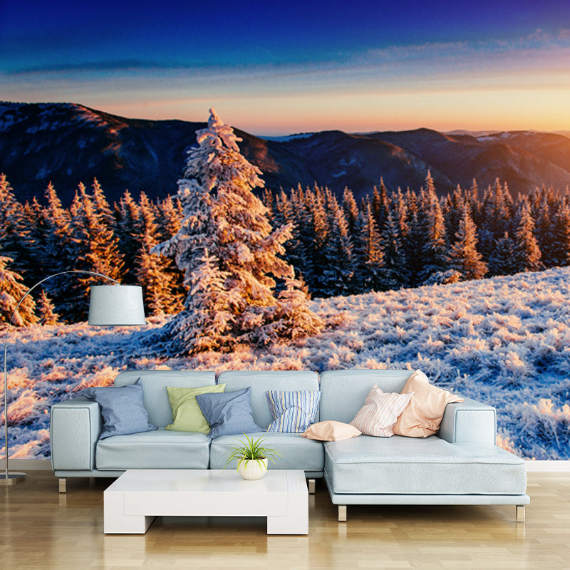 Orange Sunset View Mural Aerial View of Winter Forest Modern Washable Wall Decor