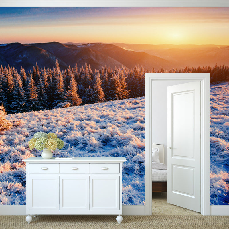 Orange Sunset View Mural Aerial View of Winter Forest Modern Washable Wall Decor