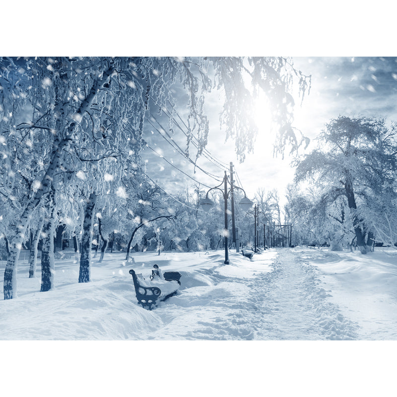 Large Winter Park Landscape Mural Moisture Resistant Modern Indoor Wall Art in Grey