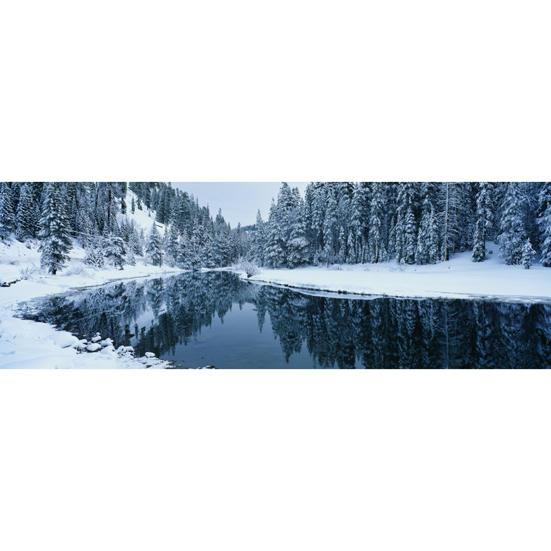 Lake Across Snow Forest Mural Green Modernist Wall Covering for Accent Wall, Custom Printed