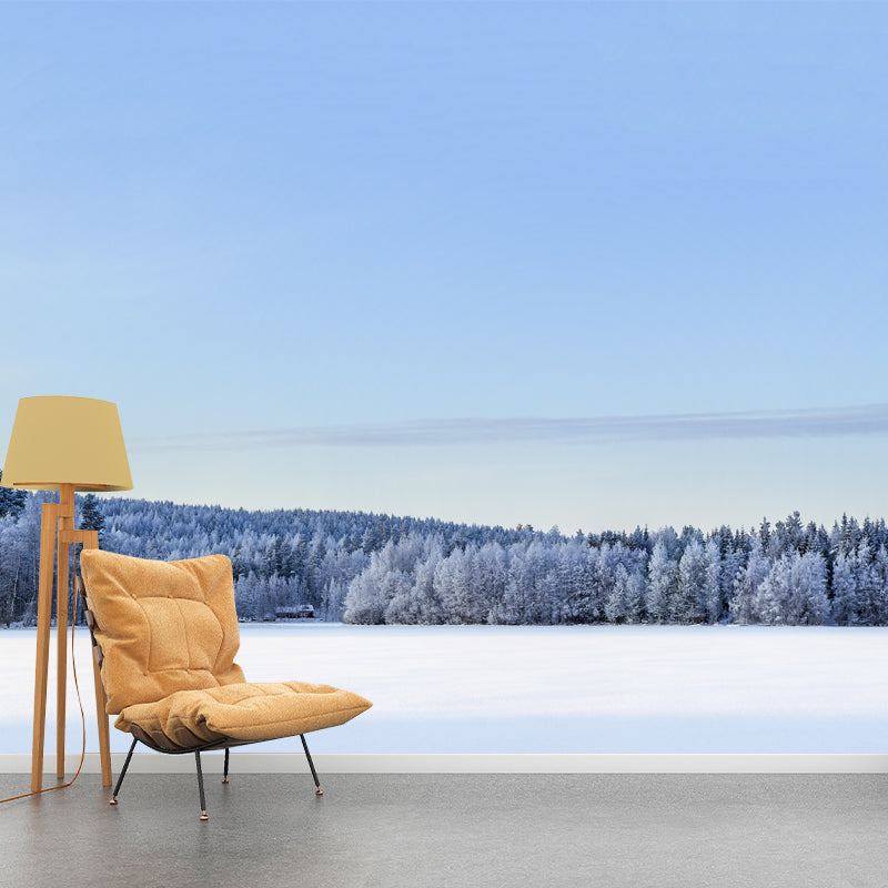 Snowy Forest Open Land Mural Modern Stain Resistant Bedroom Wall Art, Custom Made