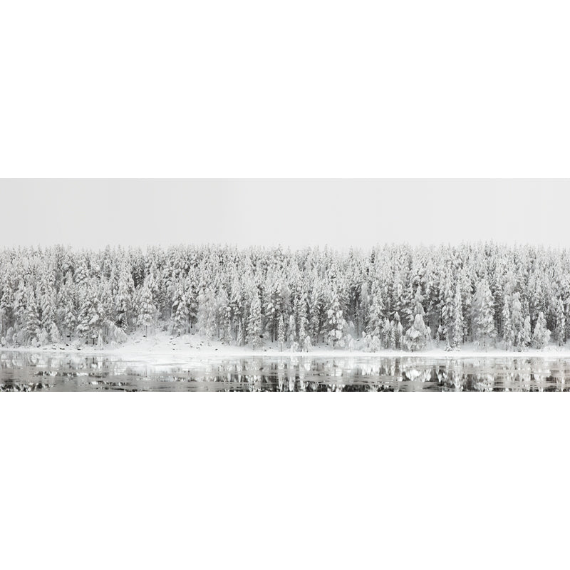 Modern Riverside Snowy Forest Mural Above Bed Personalized Size Wall Art in Grey