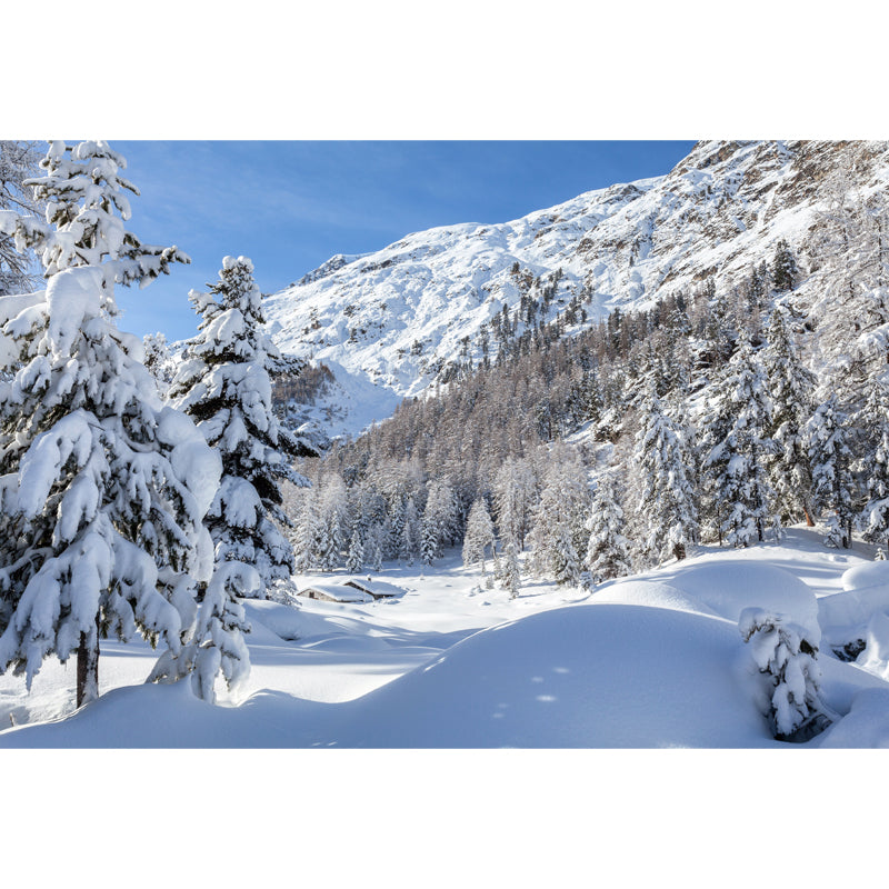 White Snow Mountain Landscape Mural Washable Wall Decor for Living Room, Non-Woven Fabric