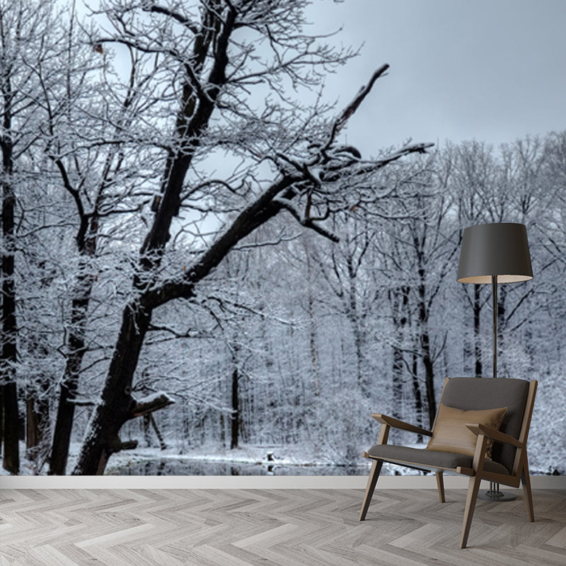 Lake Reflection Snowy Tree Mural Wallpaper Grey Modern Wall Covering for Bedroom