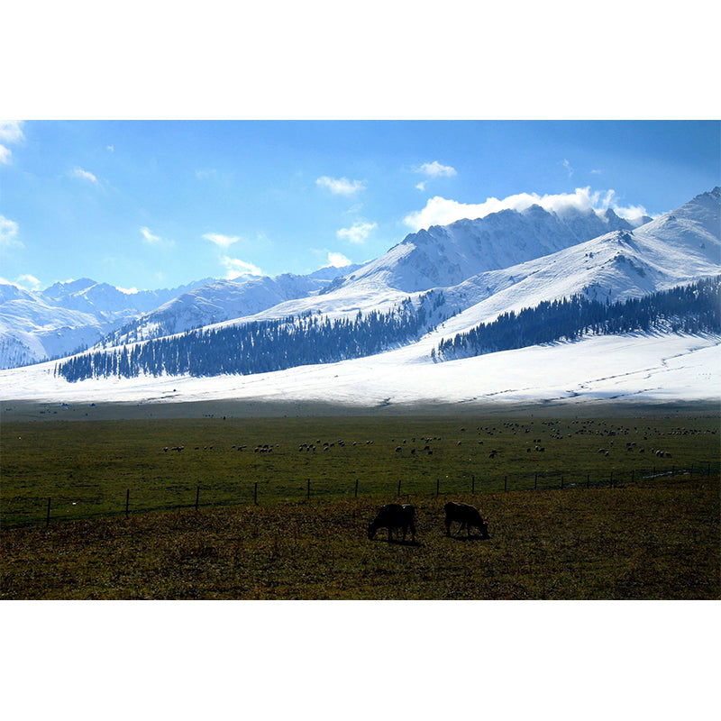 Full Size Modern Mural Blue Animal Farm by the Snow Mountain Wall Decor, Custom Printed