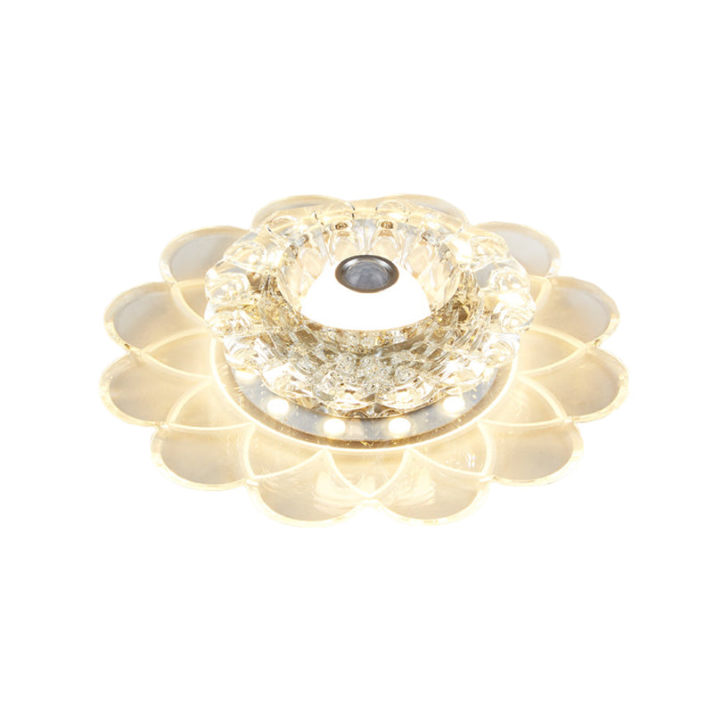 Luz de montaje de cristal transparente Lámpara de montaje de pasillo LED contemporáneo Iluminación de pasillo en blanco/multicolor/luz cálida