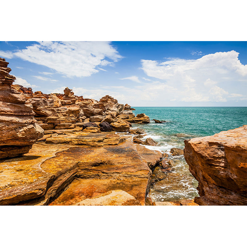 Modern Sunny Rock Seashore Mural for Accent Wall Custom Wall Decoration in Brown