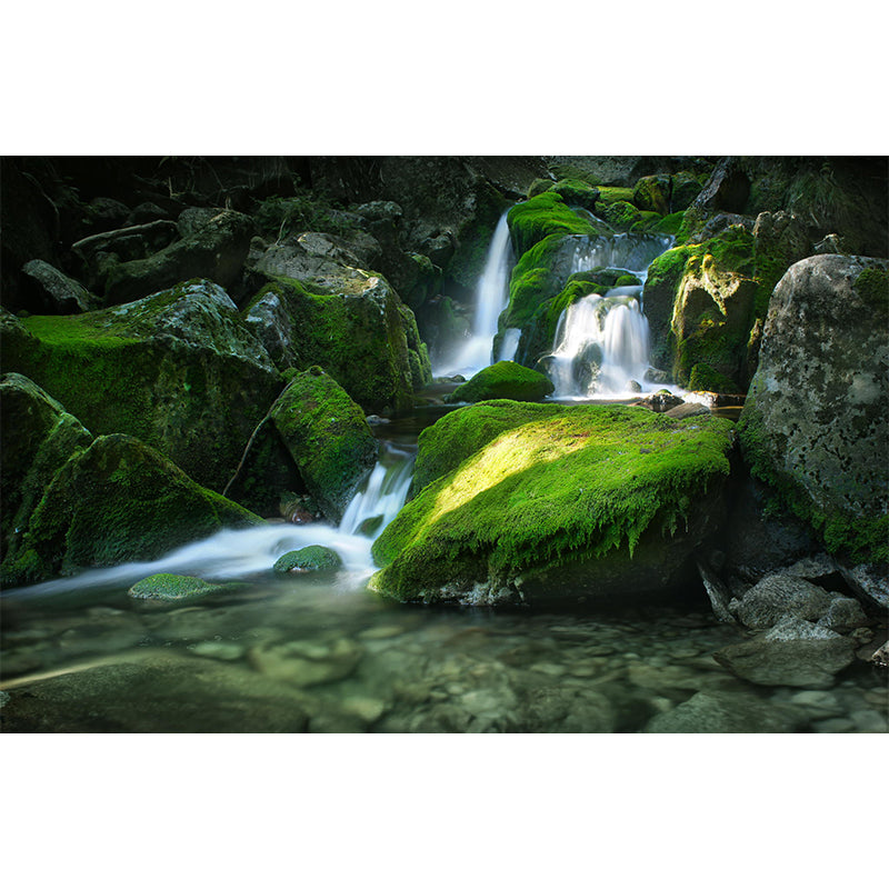 Waterfall with Moss Stone Mural Decal Green Modernism Wall Covering for Home Gallery