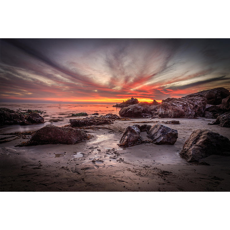 Giant Modernist Mural Wallpaper Brown Tidal Flats with Evening Glow Sky Wall Art