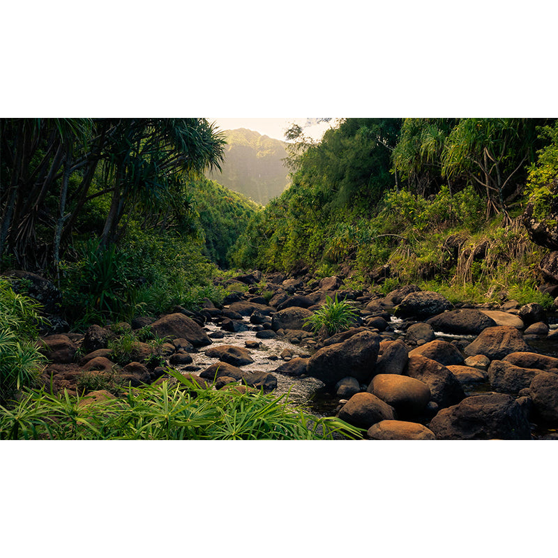 Tropix Forest Pebble Stream Mural for Bedroom Custom Size Wall Covering in Green