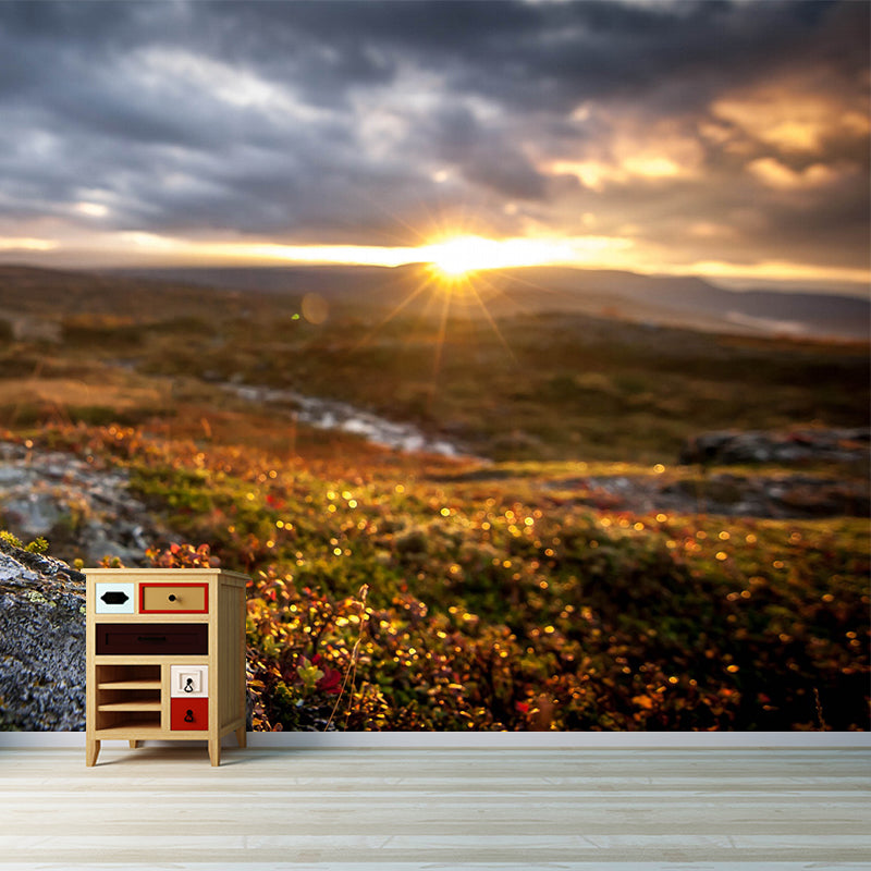 Custom Size Photography Modern Mural with Brown First Ray of Sunshine in Wilds Wall Art, Custom Print