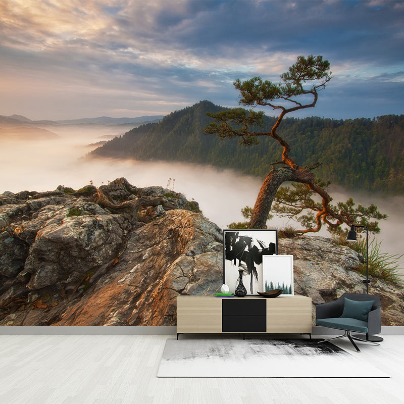 Brown Contemporary Mural Wallpaper Whole Pine Tree at Peak of Foggy Mountain Wall Art for Home