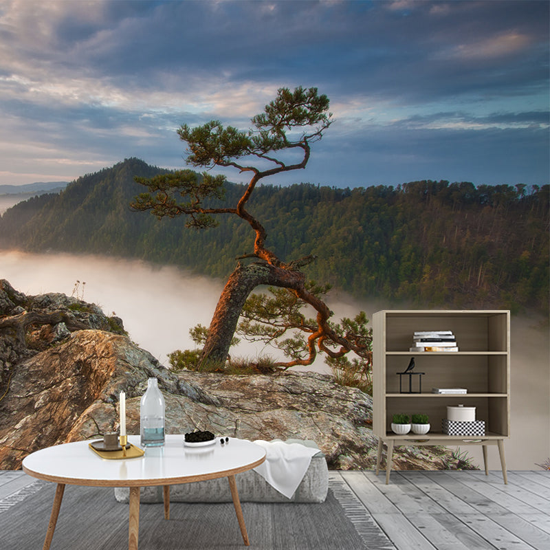 Brown Contemporary Mural Wallpaper Whole Pine Tree at Peak of Foggy Mountain Wall Art for Home