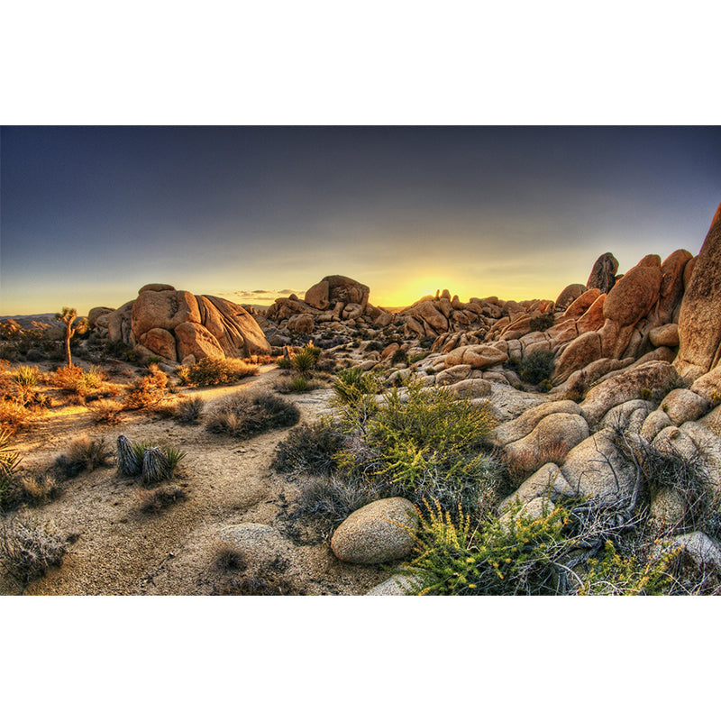 Photography Rock Stone Wall Mural for Living Room, Brown, Personalized Size Available