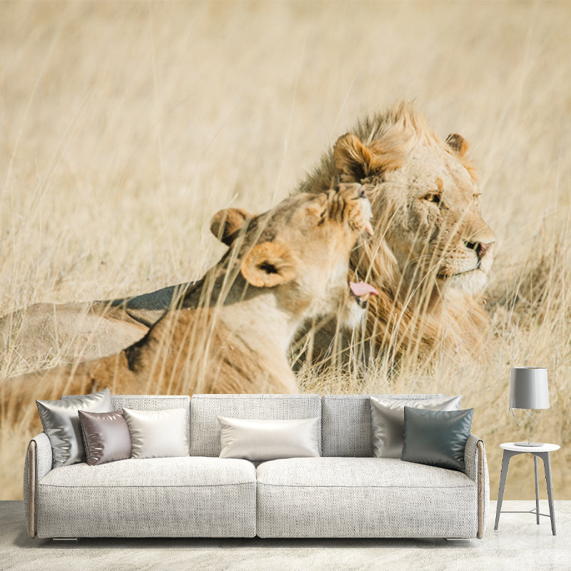 Brown Lions in Grass Mural Decal Water-Proof Wall Decor for Living Room, Optional Size