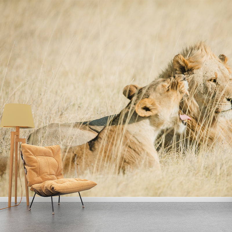 Brown Lions in Grass Mural Decal Water-Proof Wall Decor for Living Room, Optional Size