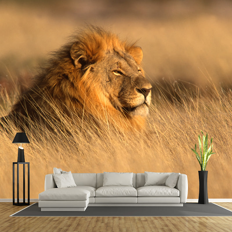 Lion Lying in Grass Mural Contemporary Non-Woven Material Wall Art in Brown for Room