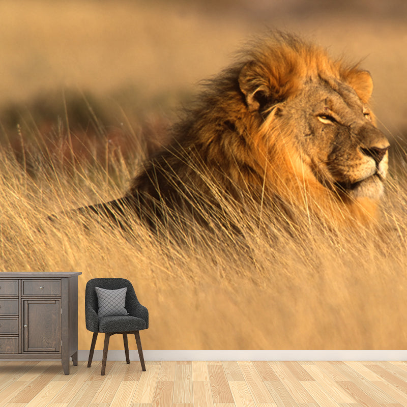 Lion Lying in Grass Mural Contemporary Non-Woven Material Wall Art in Brown for Room