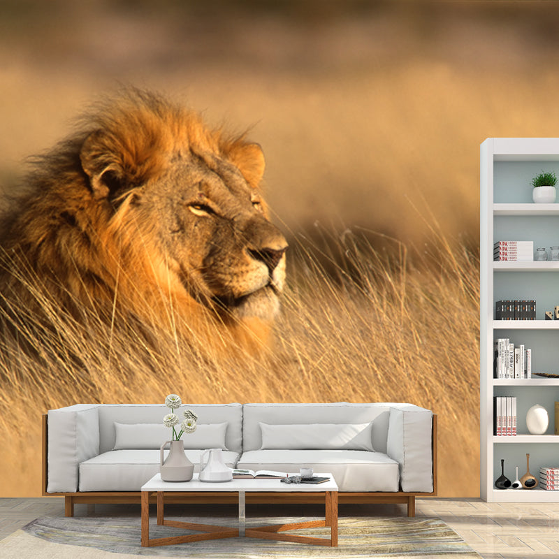 Lion Lying in Grass Mural Contemporary Non-Woven Material Wall Art in Brown for Room
