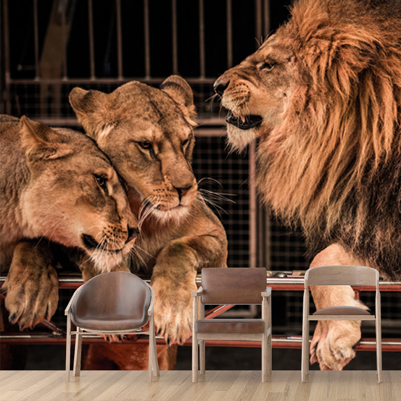 Brown Modern Wallpaper Mural Large Male Lion with Its Wives Wall Art for Bedroom