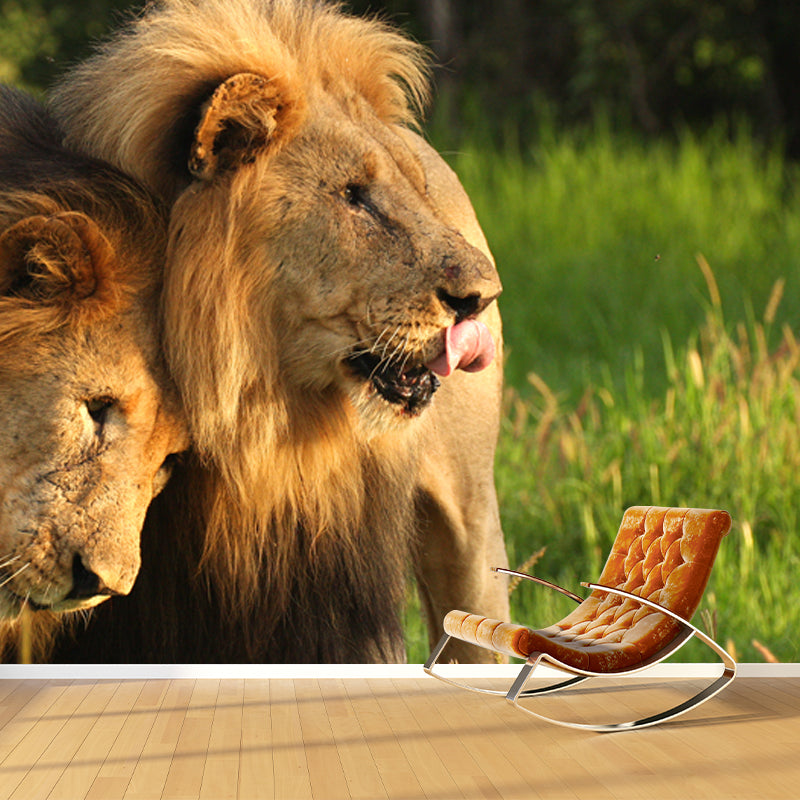 Whole Grassland Lions Mural Wallpaper for Bedroom Wild Animal Wall Art in Brown, Washable