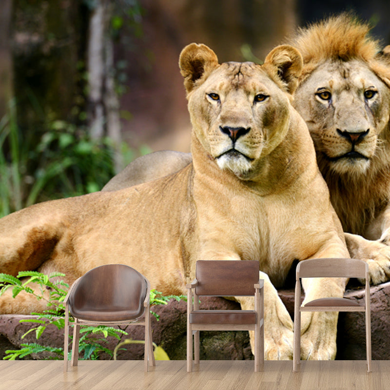 Lions Lying on Stone Mural Brown Contemporary Wall Covering for Living Room, Custom Print