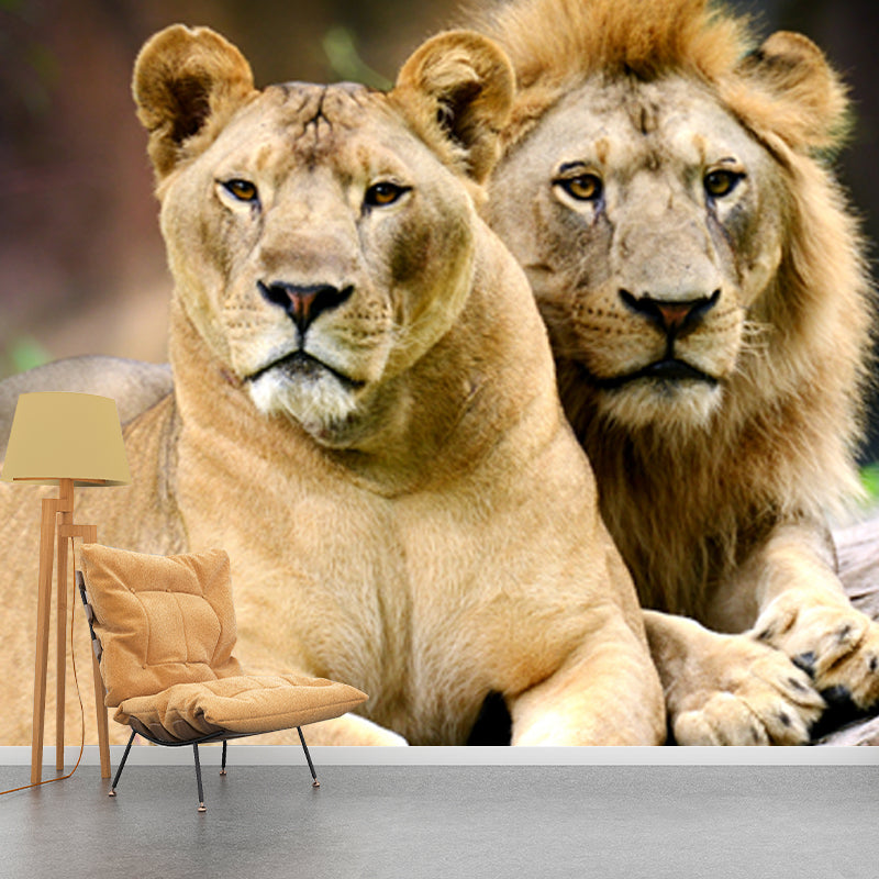 Lions Lying on Stone Mural Brown Contemporary Wall Covering for Living Room, Custom Print