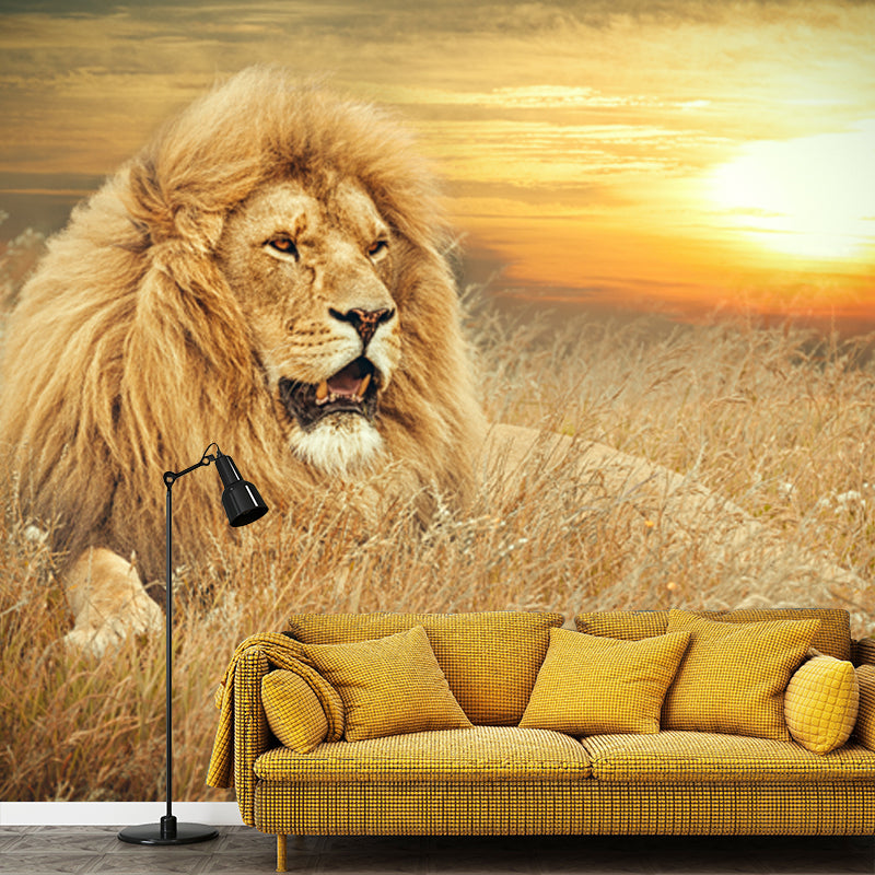Contemporary Wild Animal Mural Brown Lion Lying on Ground at Sunset Wall Covering