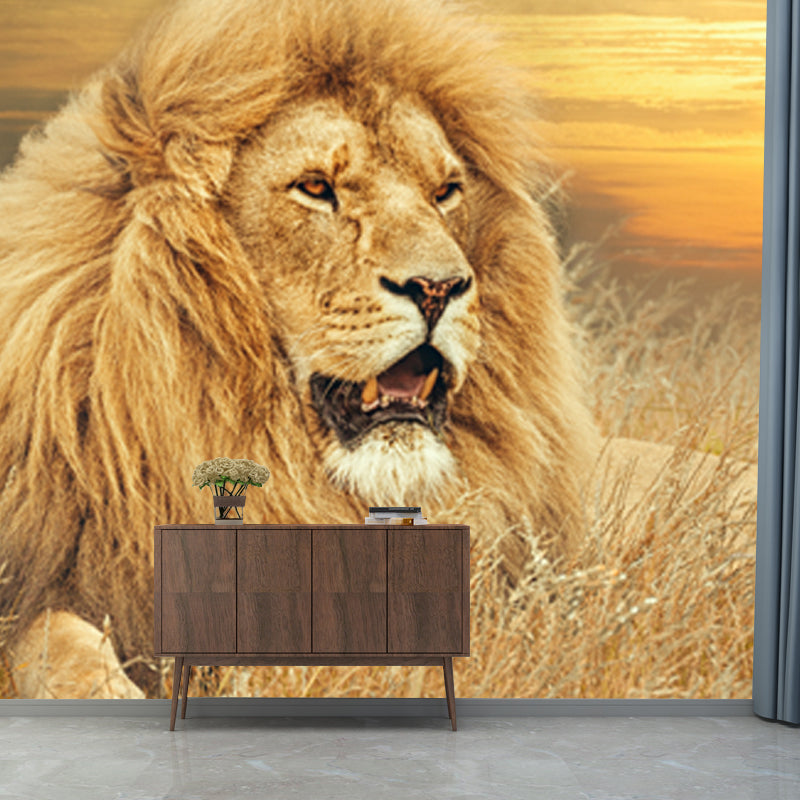 Contemporary Wild Animal Mural Brown Lion Lying on Ground at Sunset Wall Covering