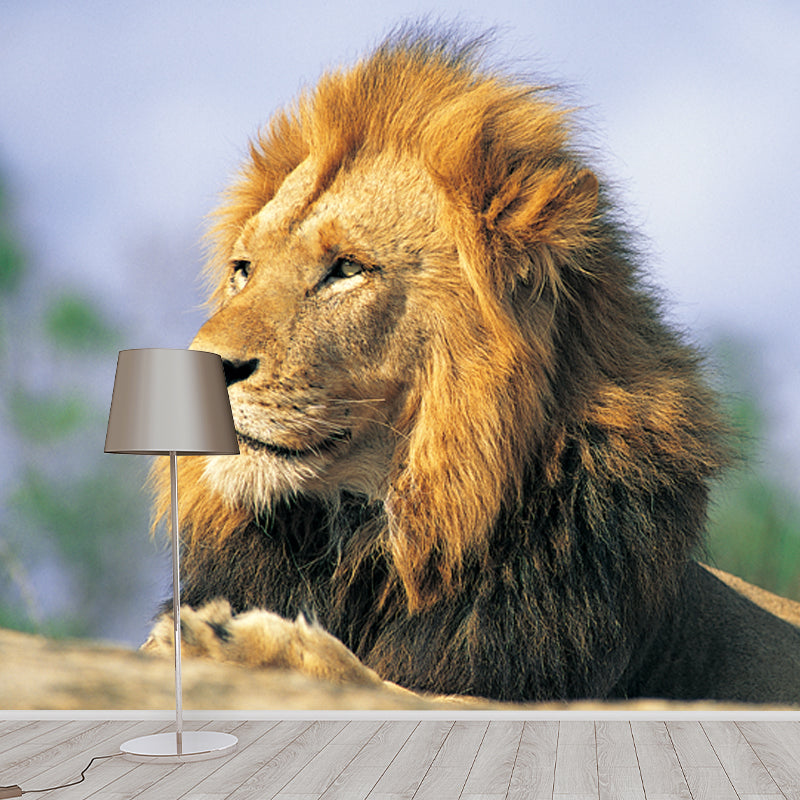 Brown Lion Looking Afar Mural Water Resistant Modern Bedroom Wall Covering, Made to Measure
