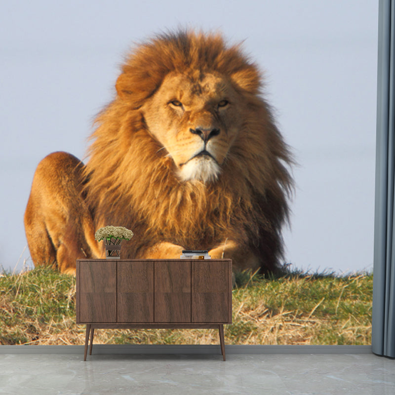 Contemporary Lion Wall Paper Mural Non-Woven Brown Washable Wall Art for Bedroom