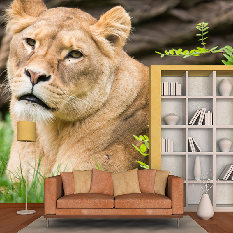 Large Female Lion Wallpaper Mural Stain-Resistant Modern Bedroom Wall Art in Brown