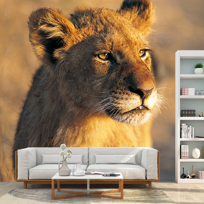 Modern Young Lion Sunset Mural Brown Moisture Resistant Wall Covering for Accent Wall