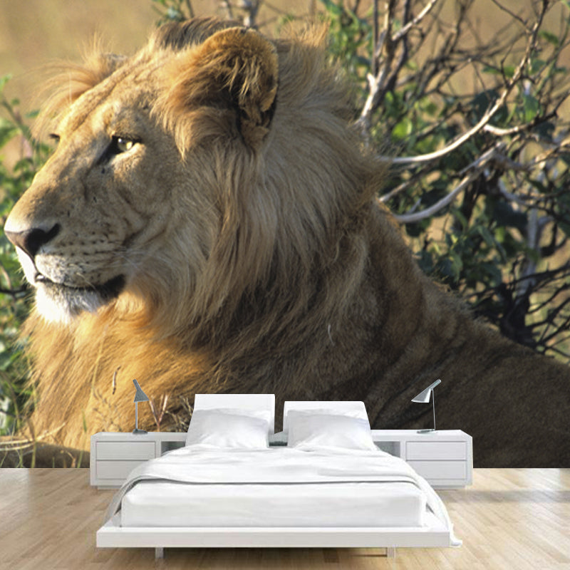 Large Lion Wallpaper Mural Modern Cool Wild Animal Wall Art in Brown for Living Room
