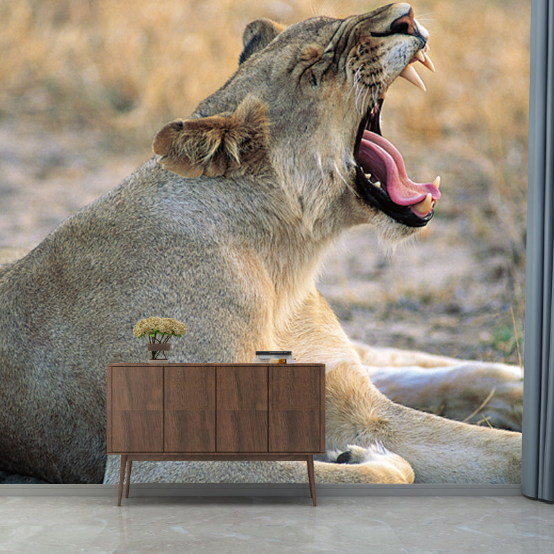 Brown Wild Animal Wallpaper Mural Lion Giving A Big Yawn Modern Washable Wall Decor