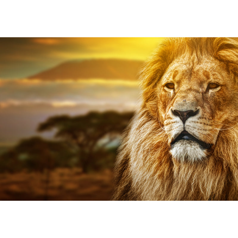 Lion with Sunset View Mural Contemporary Non-Woven Material Wall Covering in Brown