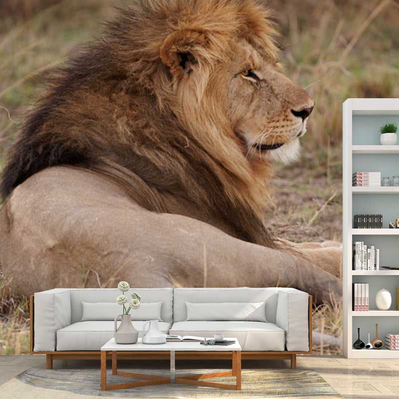 Lion Lies in Savanna Mural Brown Modern Wall Art for Bedroom, Customized Size Available