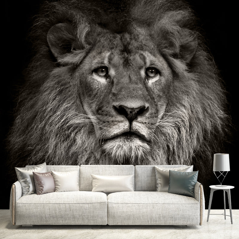 Photo Printed Lion Head Mural Wallpaper for Accent Wall, Black, Personalized Size