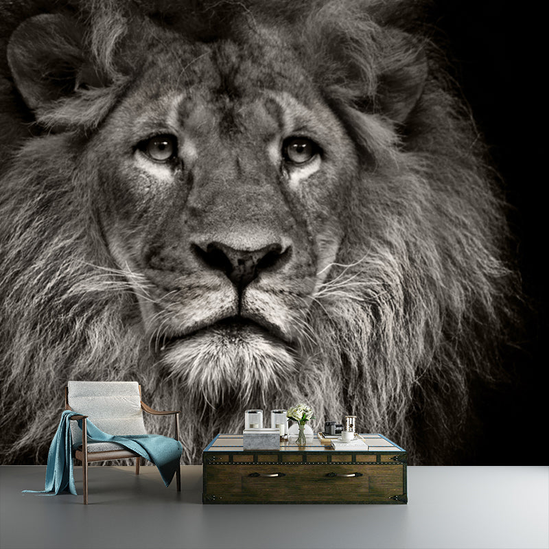 Photo Printed Lion Head Mural Wallpaper for Accent Wall, Black, Personalized Size