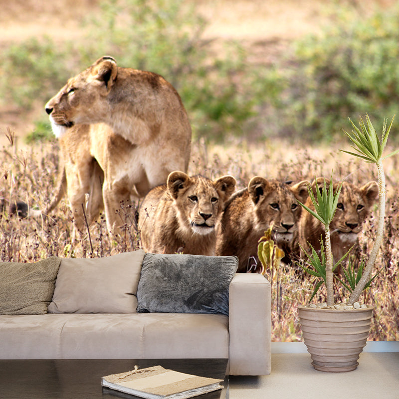 Lion and Its Child Mural Wallpaper Brown Modern Style Wall Decor for Family Room