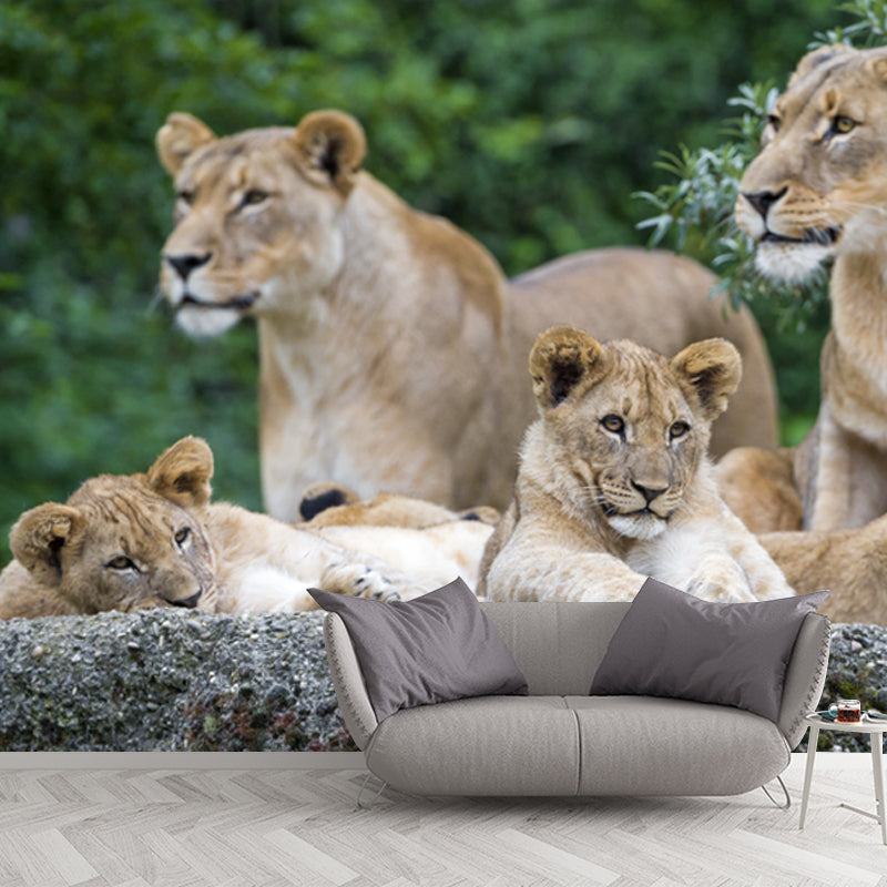 Contemporary Lion Family Wallpaper Mural for Bedroom Custom Wall Decoration in Brown