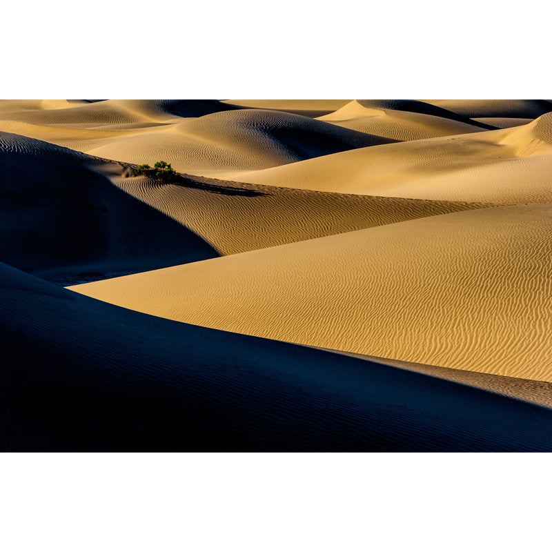 Contemporary Desert Shadows Mural Decal Non-Woven Moisture Resistant Yellow Wall Decor