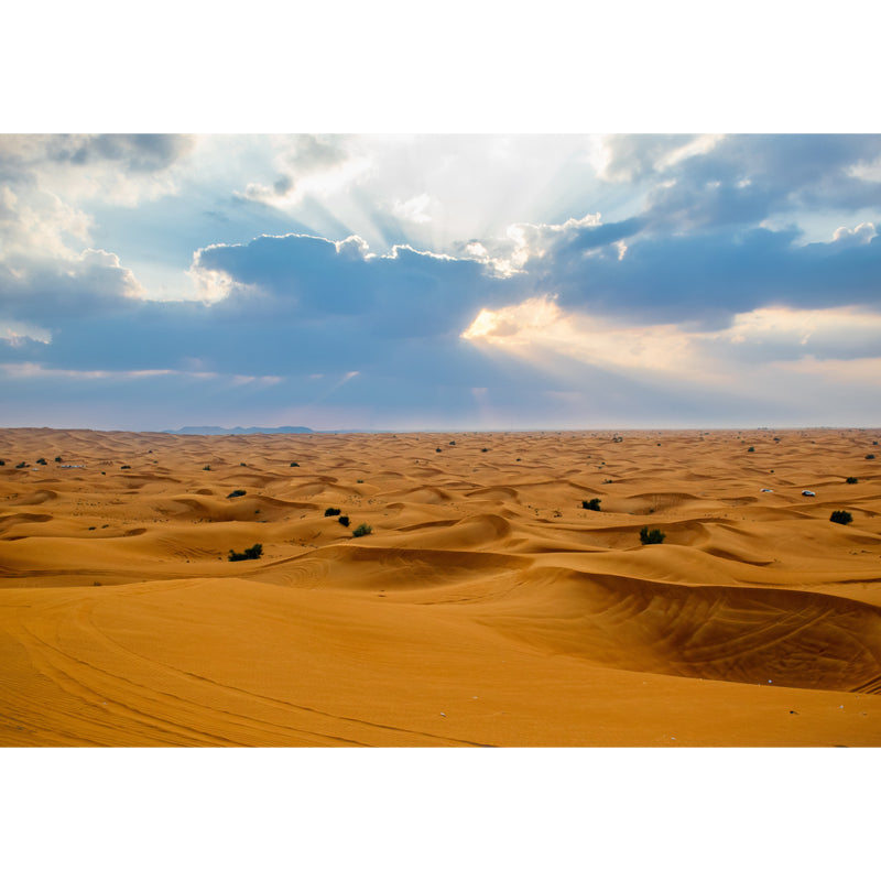 Broad Sand Sea Wallpaper Mural for Accent Wall, Yellow and Blue, Personalized Size Available