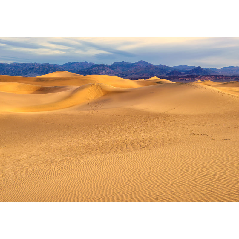 Moisture Resistant Desert Hills Mural Decal Contemporary Non-Woven Fabric Wall Covering, Custom Size