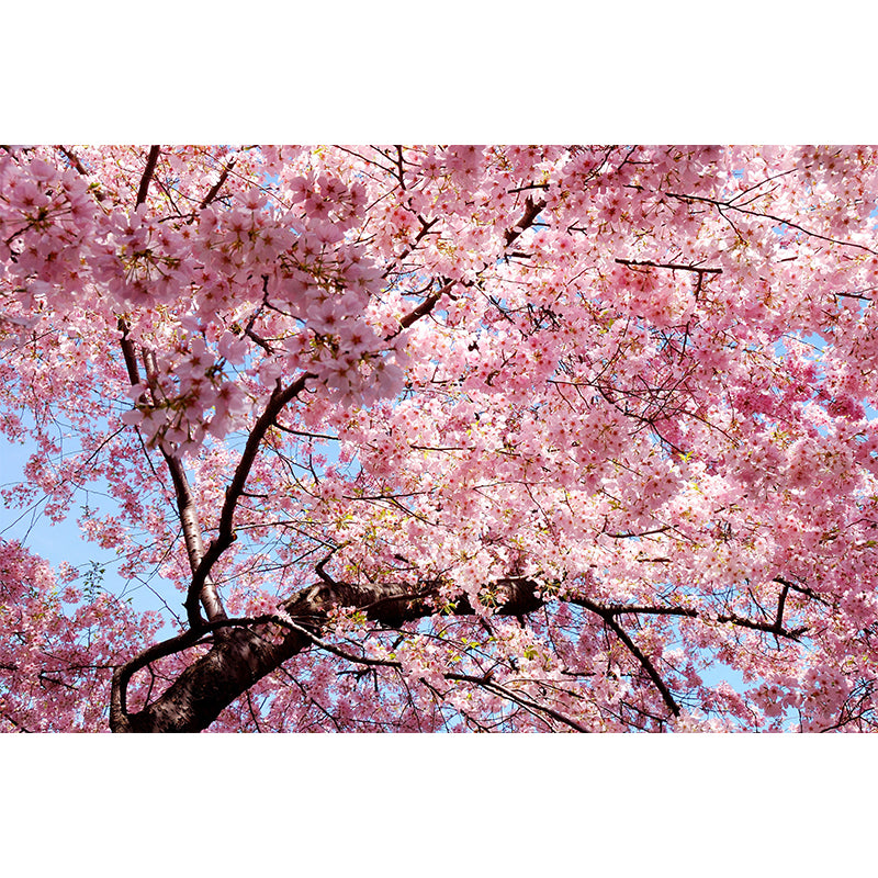 Photography Style Flower Mural Wallpaper for Interior Wall, Pink, Made to Measure