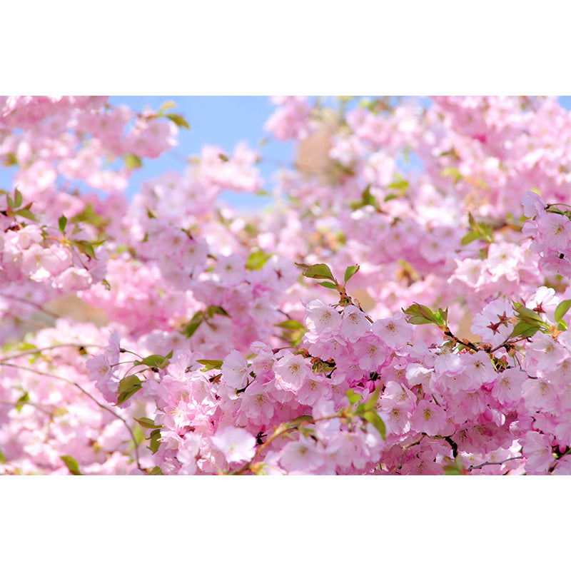 Romantic Florentine Mural Wallpaper for Dining Room, Pink, Custom Size Available